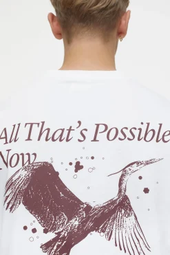 CLOSED T-Shirts><noscript><img width=